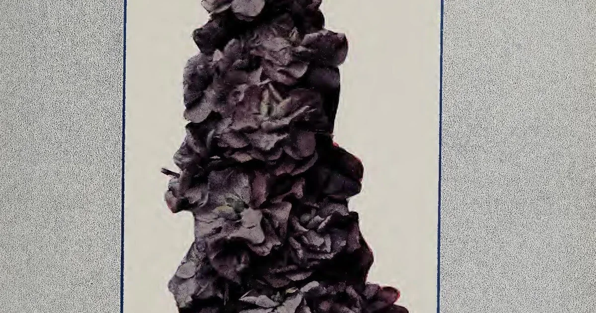 Celeste easter eggs
