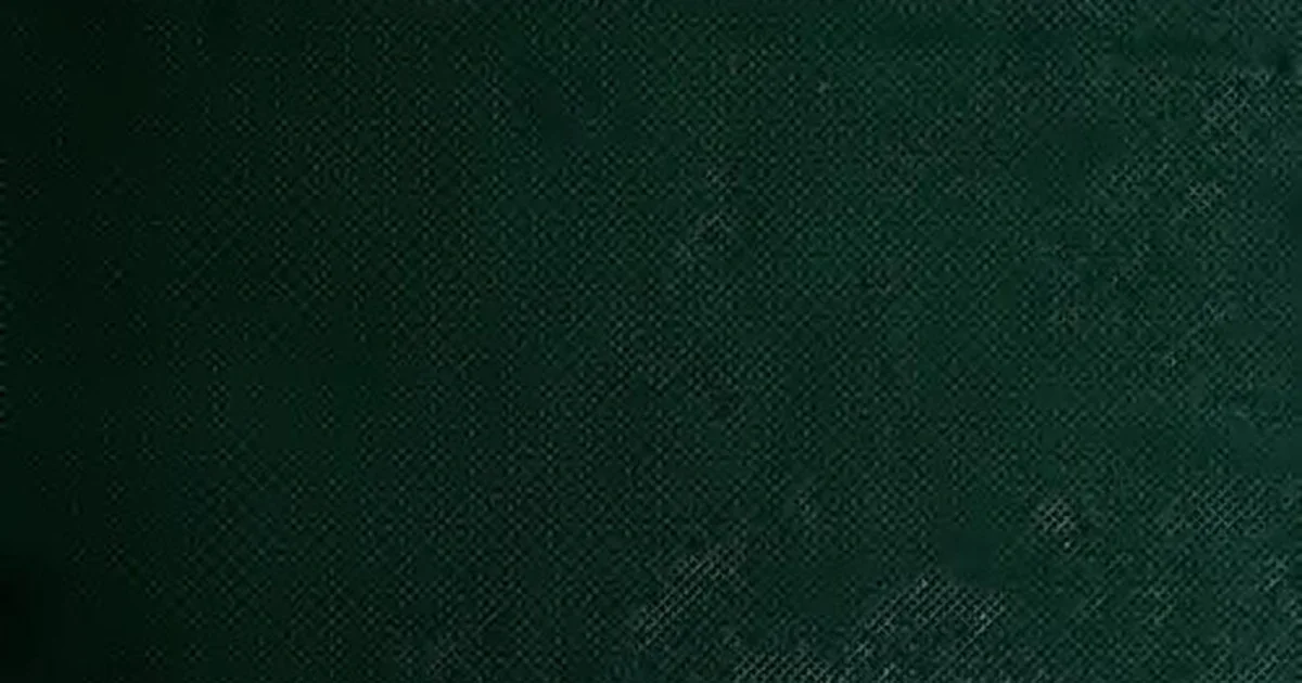 Lethal Company best mods