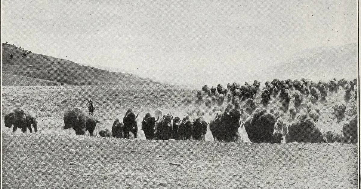 راهنمای کامل Remnant 2 complete guide