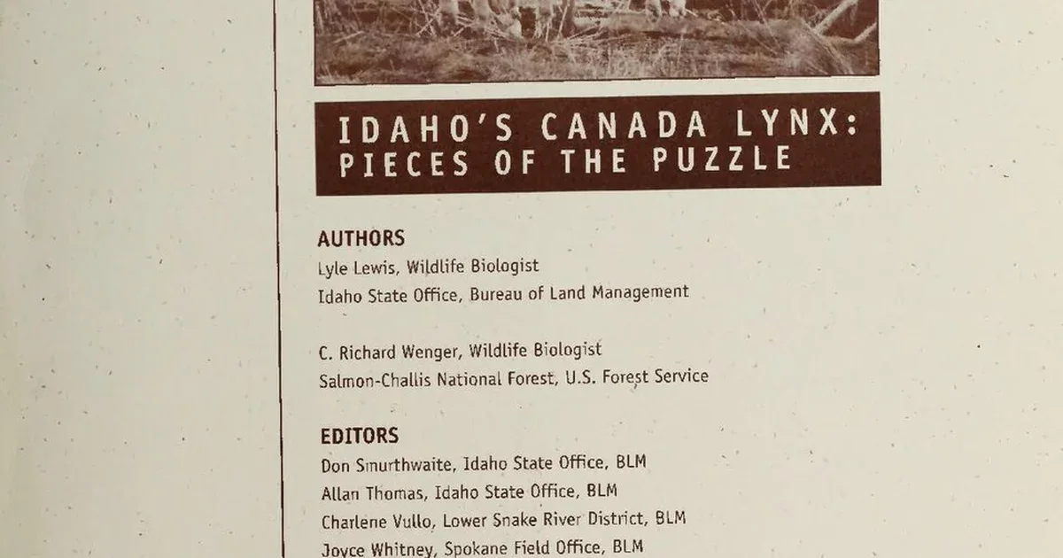 The Last of Us Part II puzzle guide