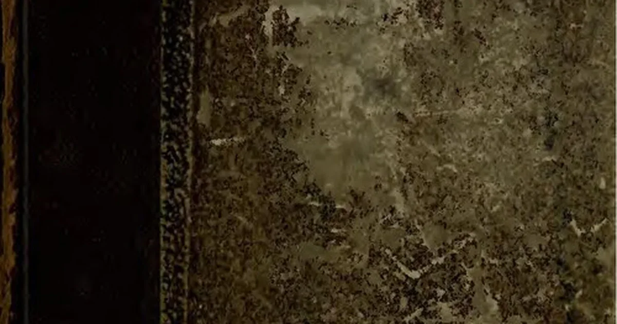 The Last of Us Part II secret bosses