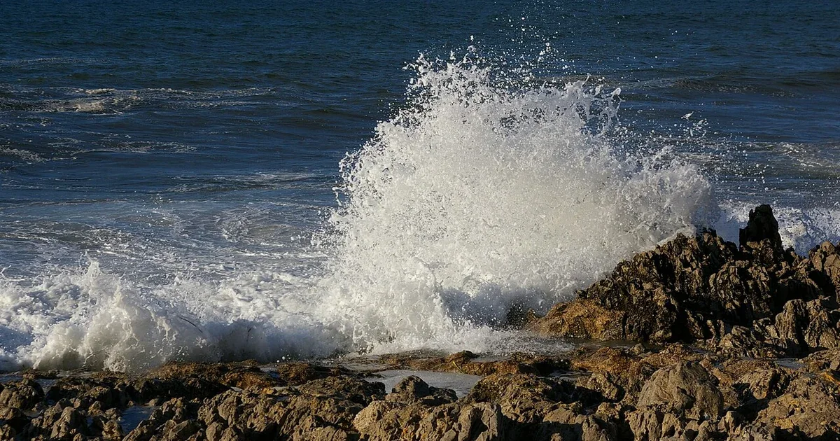Wuthering Waves review 2026