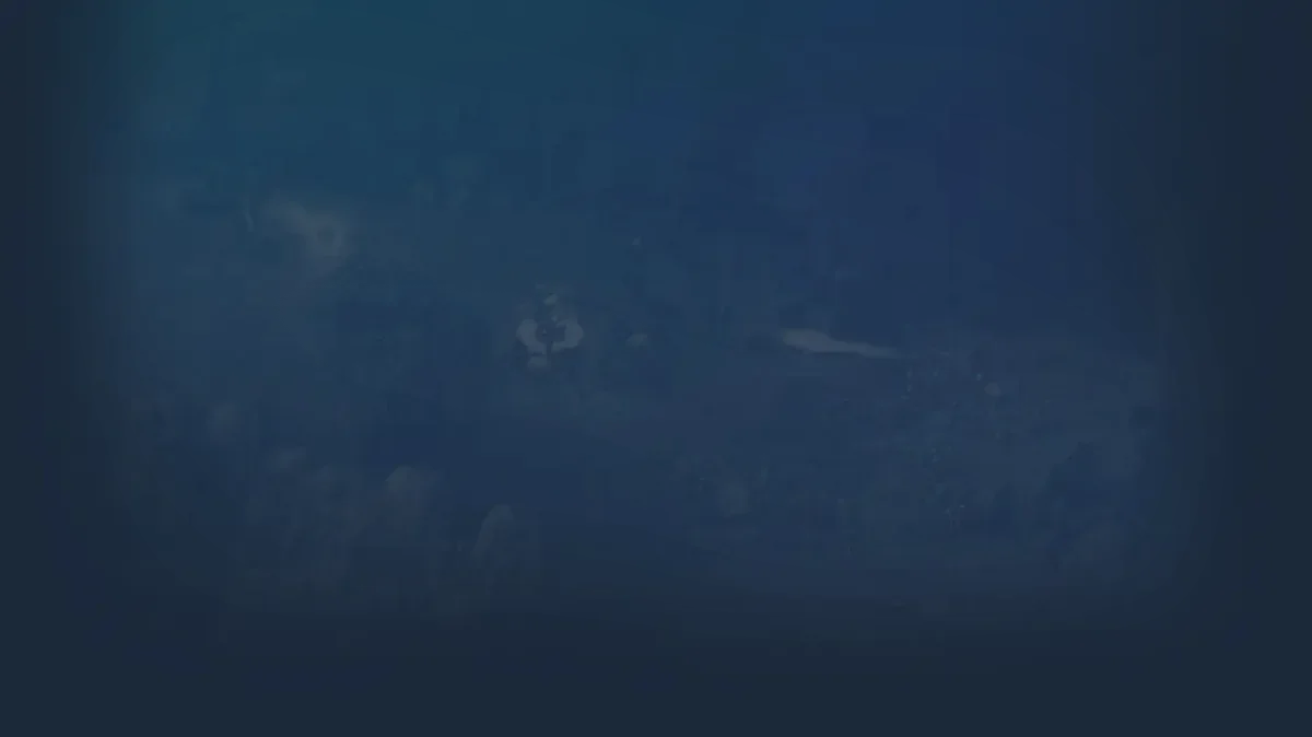 محیط بازی Pillars of Eternity