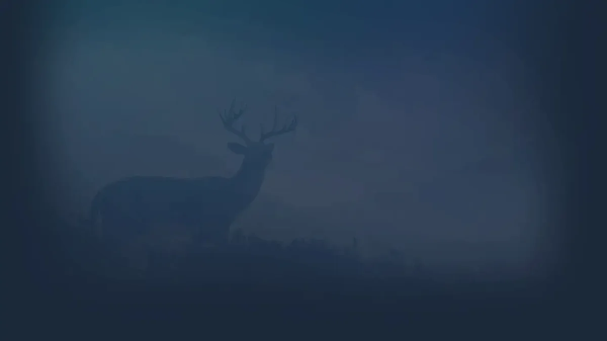 محیط بازی theHunter: Call of the Wild™